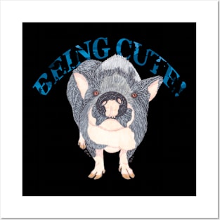 POT BELLIED PIG BEING CUTE Posters and Art